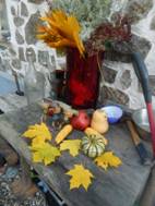 DSCN9178.JPG